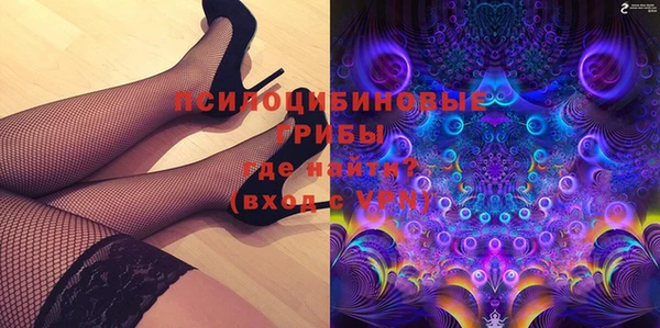 ГАЛЛЮЦИНОГЕННЫЕ ГРИБЫ Туринск