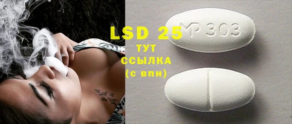 ГАЛЛЮЦИНОГЕННЫЕ ГРИБЫ Туринск
