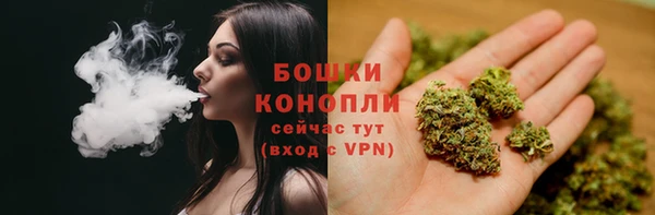 ГАЛЛЮЦИНОГЕННЫЕ ГРИБЫ Туринск