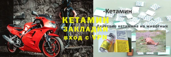 ГАЛЛЮЦИНОГЕННЫЕ ГРИБЫ Туринск