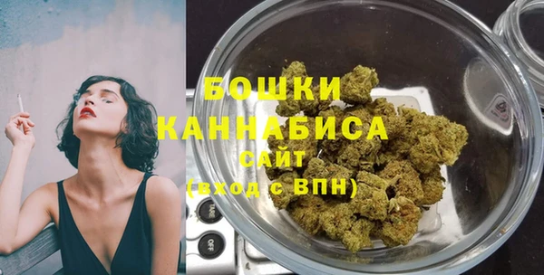 ГАЛЛЮЦИНОГЕННЫЕ ГРИБЫ Туринск