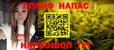 ешки Камышлов