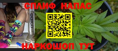 ешки Камышлов