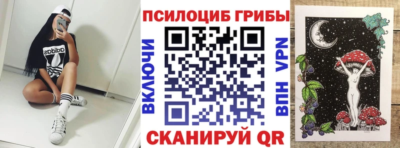 купить  сайты  Шатура  Галлюциногенные грибы Cubensis 