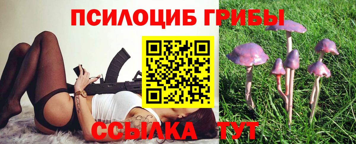Псилоцибиновые грибы Cubensis Шатура